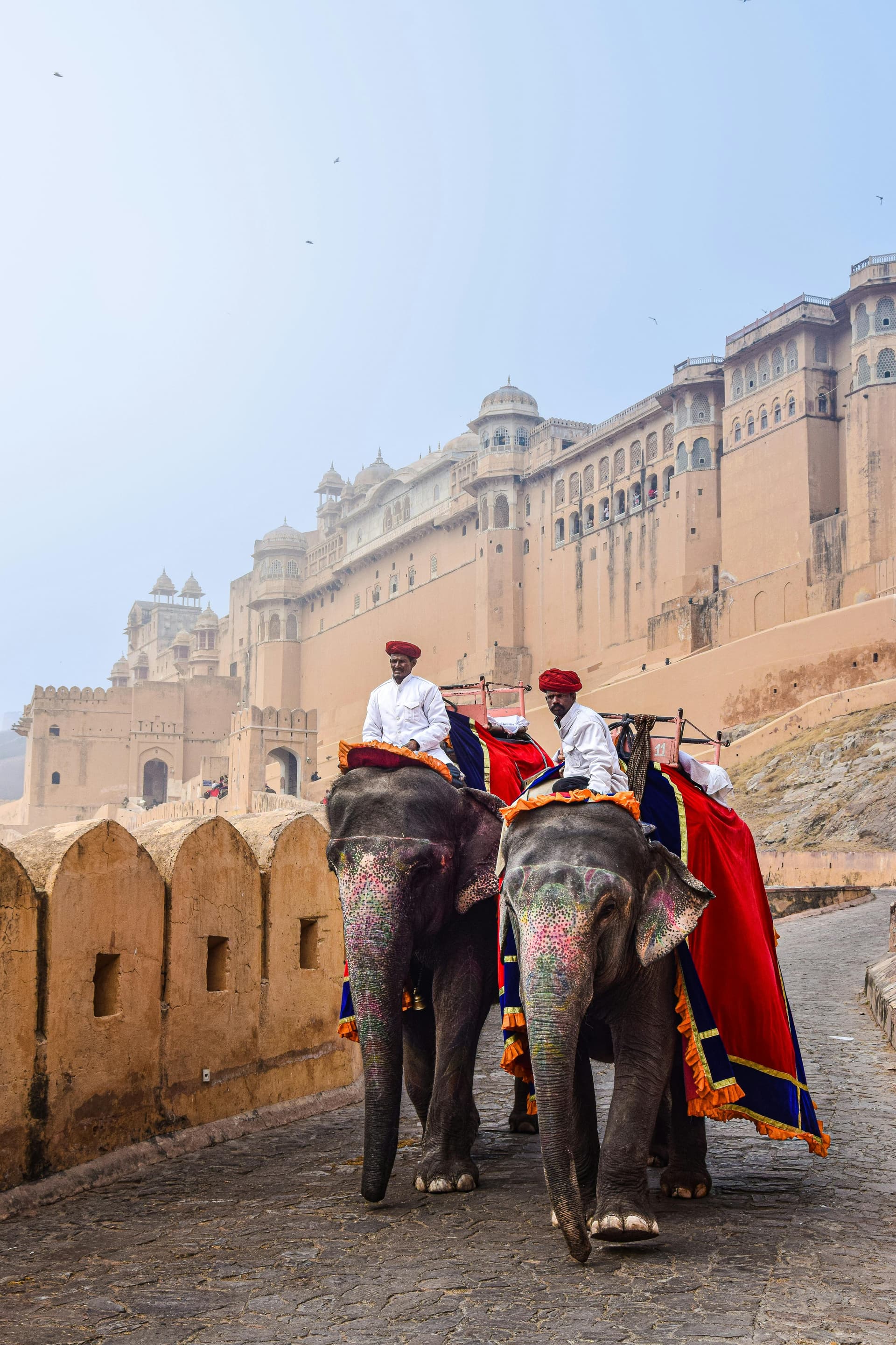 Rajasthan 8 Days