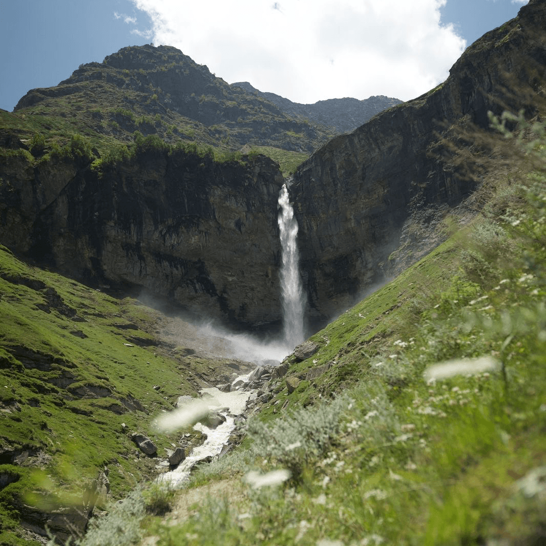 Manali Sissu